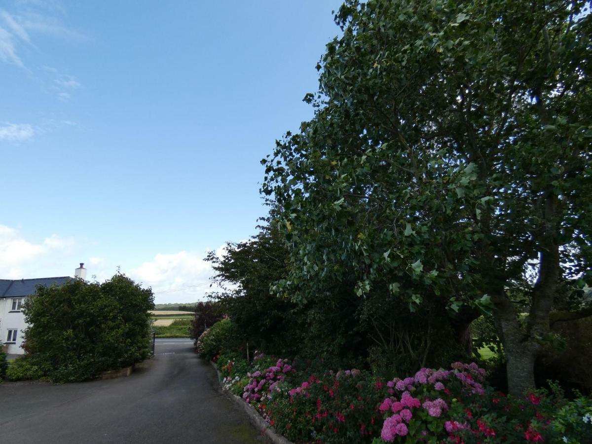 Bournestream Bed and Breakfast Withycombe Eksteriør billede
